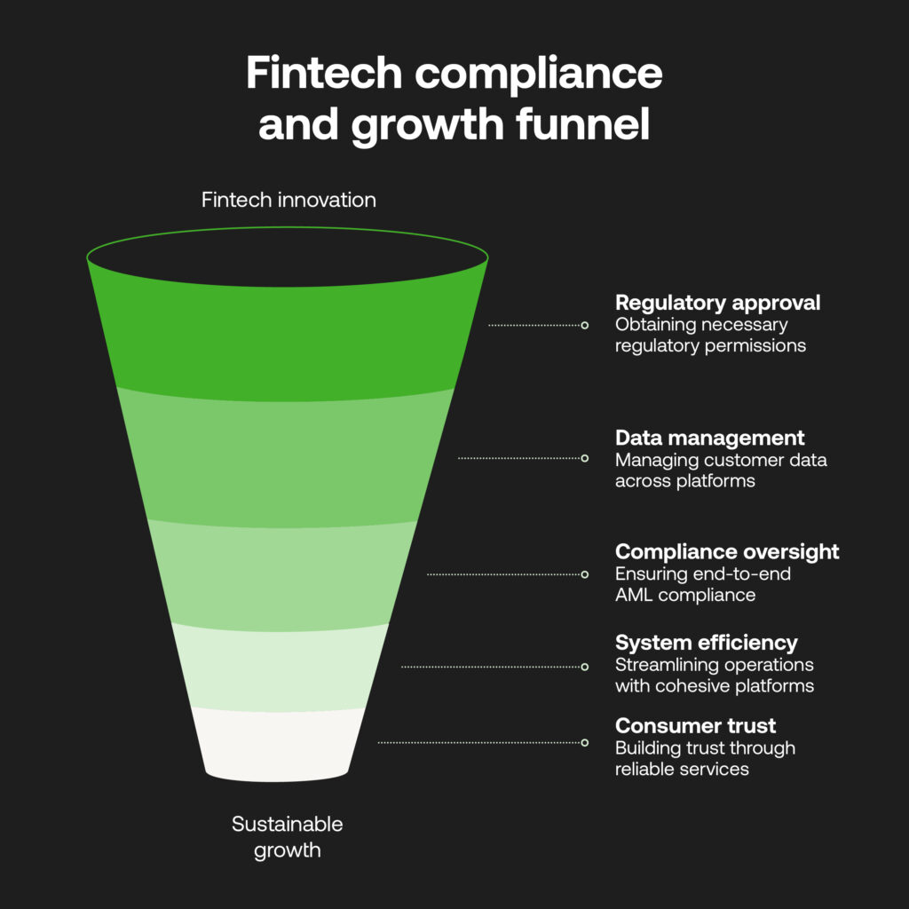 Fintech growth in 2025